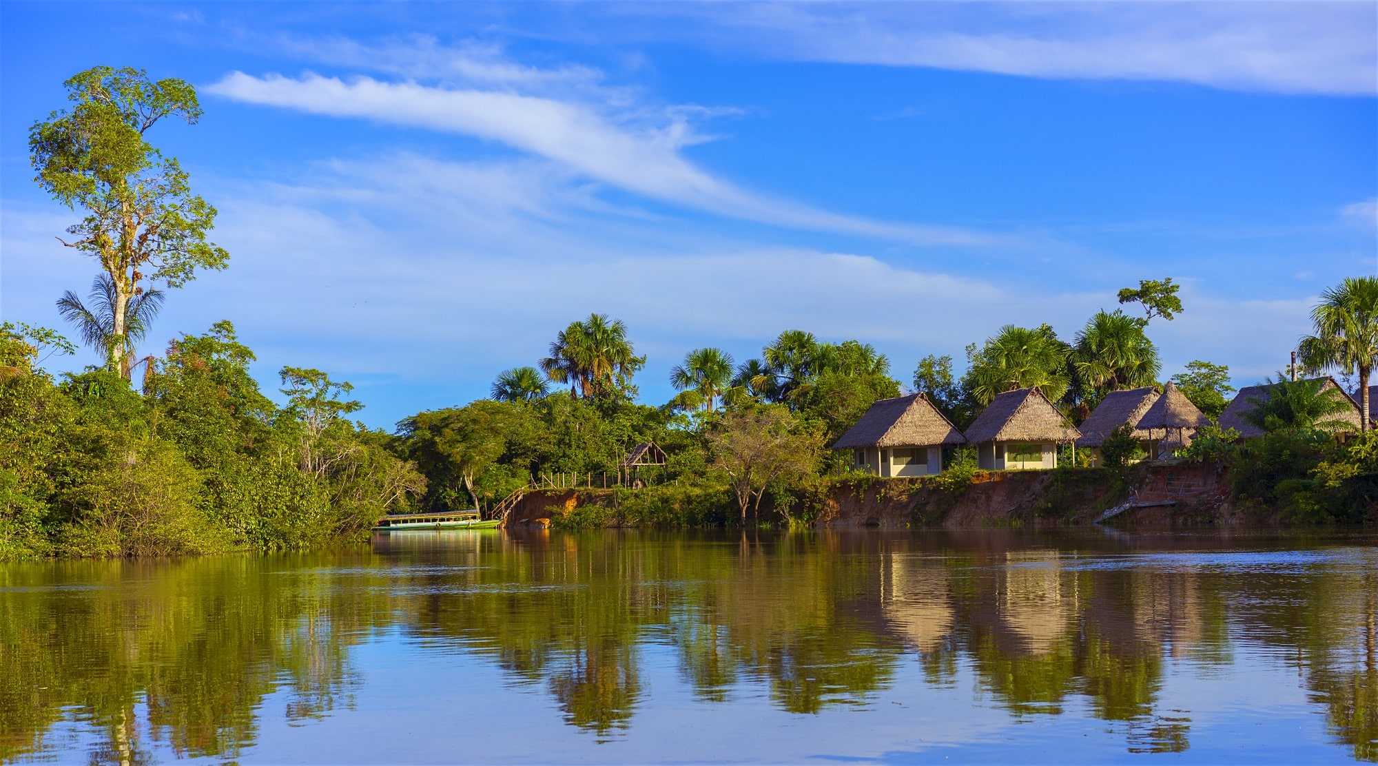 jungle trips iquitos