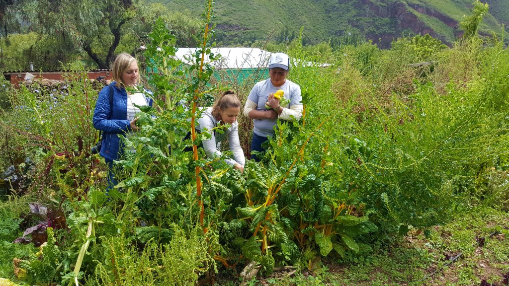 Ancient Cusco & Machu Picchu Tour: Experience with Local people